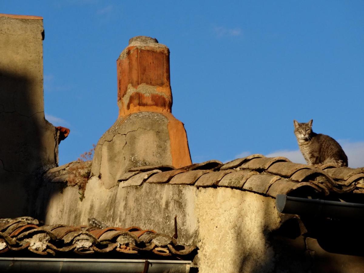 La Marisol Villa LʼIsle-sur-la-Sorgue Exteriör bild